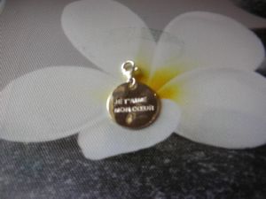charms plaque gm