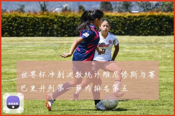 世界杯冲刺次数统计维尼修斯与赛巴里并列第一萨内排名第五