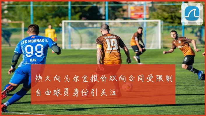热火向戈尔金报价双向合同受限制自由球员身份引关注